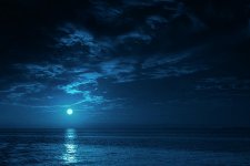 beautiful-midnight-ocean-view-with-ricardoreitmeyer.jpeg