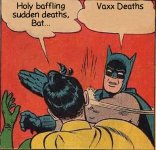 Batman Slapping Robin 2 03012023211116.jpg