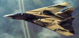 iranianf14tomcat1980s.jpeg